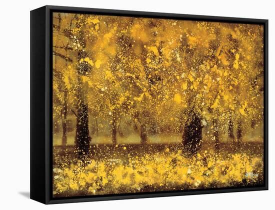 Golden Age-Pihua Hsu-Framed Stretched Canvas