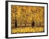 Golden Age-Pihua Hsu-Framed Giclee Print