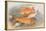 Golden and Bronze Carp-A.f. Lydon-Stretched Canvas