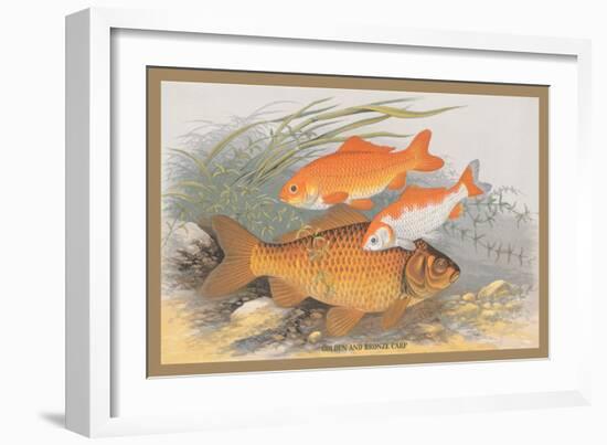 Golden and Bronze Carp-A.f. Lydon-Framed Premium Giclee Print