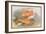 Golden and Bronze Carp-A.f. Lydon-Framed Art Print