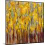 Golden Angels in the Aspens-Amy Dixon-Mounted Art Print