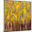 Golden Angels in the Aspens-Amy Dixon-Mounted Art Print