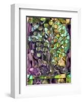 Golden Apples-Mindy Sommers-Framed Giclee Print