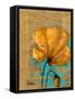 Golden Artistic Poppy II-Patricia Pinto-Framed Stretched Canvas