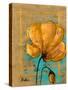 Golden Artistic Poppy II-Patricia Pinto-Stretched Canvas