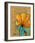 Golden Artistic Poppy II-Patricia Pinto-Framed Art Print