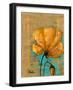 Golden Artistic Poppy II-Patricia Pinto-Framed Art Print