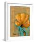 Golden Artistic Poppy II-Patricia Pinto-Framed Art Print