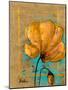 Golden Artistic Poppy II-Patricia Pinto-Mounted Art Print