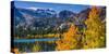 Golden aspen at June Lake, Inyo National Forest, Sierra Nevada Mountains, California, USA-Russ Bishop-Stretched Canvas