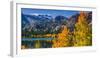 Golden aspen at June Lake, Inyo National Forest, Sierra Nevada Mountains, California, USA-Russ Bishop-Framed Photographic Print