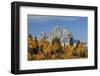 Golden aspen trees and Cathedral Group, Grand Teton National Park, Wyoming-Adam Jones-Framed Photographic Print