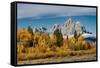 Golden aspen trees and Cathedral Group, Grand Teton National Park.-Adam Jones-Framed Stretched Canvas