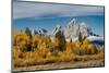 Golden aspen trees and Cathedral Group, Grand Teton National Park.-Adam Jones-Mounted Photographic Print