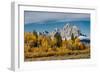 Golden aspen trees and Cathedral Group, Grand Teton National Park.-Adam Jones-Framed Photographic Print