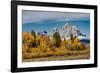 Golden aspen trees and Cathedral Group, Grand Teton National Park.-Adam Jones-Framed Photographic Print