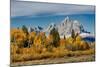 Golden aspen trees and Cathedral Group, Grand Teton National Park.-Adam Jones-Mounted Photographic Print