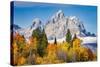 Golden aspen trees and Cathedral Group, Grand Teton National Park.-Adam Jones-Stretched Canvas