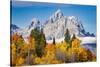 Golden aspen trees and Cathedral Group, Grand Teton National Park.-Adam Jones-Stretched Canvas