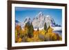 Golden aspen trees and Cathedral Group, Grand Teton National Park.-Adam Jones-Framed Photographic Print