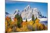 Golden aspen trees and Cathedral Group, Grand Teton National Park.-Adam Jones-Mounted Photographic Print