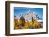 Golden aspen trees and Cathedral Group, Grand Teton National Park.-Adam Jones-Framed Photographic Print