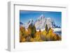 Golden aspen trees and Cathedral Group, Grand Teton National Park.-Adam Jones-Framed Photographic Print