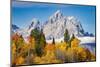 Golden aspen trees and Cathedral Group, Grand Teton National Park.-Adam Jones-Mounted Photographic Print