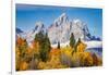 Golden aspen trees and Cathedral Group, Grand Teton National Park.-Adam Jones-Framed Photographic Print