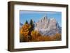 Golden aspen trees and Cathedral Group, Grand Teton National Park.-Adam Jones-Framed Photographic Print