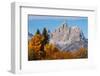 Golden aspen trees and Cathedral Group, Grand Teton National Park.-Adam Jones-Framed Photographic Print