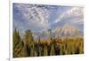 Golden aspen trees and Teton Range in early morning, Grand Teton National Park, Wyoming-Adam Jones-Framed Photographic Print
