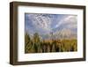 Golden aspen trees and Teton Range in early morning, Grand Teton National Park, Wyoming-Adam Jones-Framed Photographic Print