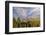 Golden aspen trees and Teton Range in early morning, Grand Teton National Park, Wyoming-Adam Jones-Framed Photographic Print