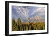 Golden aspen trees and Teton Range in early morning, Grand Teton National Park, Wyoming-Adam Jones-Framed Photographic Print