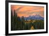 Golden aspen trees and Teton Range in early morning, Grand Teton National Park.-Adam Jones-Framed Photographic Print