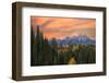 Golden aspen trees and Teton Range in early morning, Grand Teton National Park.-Adam Jones-Framed Photographic Print