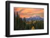 Golden aspen trees and Teton Range in early morning, Grand Teton National Park.-Adam Jones-Framed Photographic Print