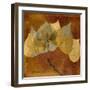 Golden Aspen-Albert Koetsier-Framed Art Print