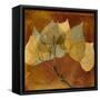 Golden Aspen-Albert Koetsier-Framed Stretched Canvas