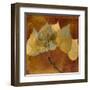 Golden Aspen-Albert Koetsier-Framed Art Print