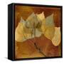 Golden Aspen-Albert Koetsier-Framed Stretched Canvas