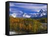 Golden Aspens and Mount Sneffels-James Randklev-Framed Stretched Canvas