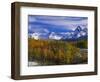 Golden Aspens and Mount Sneffels-James Randklev-Framed Photographic Print