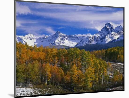 Golden Aspens and Mount Sneffels-James Randklev-Mounted Photographic Print