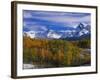 Golden Aspens and Mount Sneffels-James Randklev-Framed Photographic Print