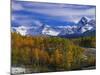 Golden Aspens and Mount Sneffels-James Randklev-Mounted Photographic Print