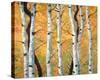 Golden Aspens-Miro Kenarov-Stretched Canvas