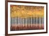 Golden Aspens-Robert Holman-Framed Premium Giclee Print